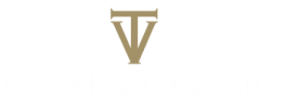 TORRE DEL VEGUER VILANOVA